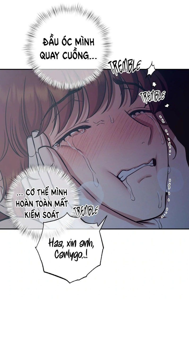 đọc truyện Một Lòng Một Dạ Chương 112 ảnh 35 tại Thiên Thai Truyện