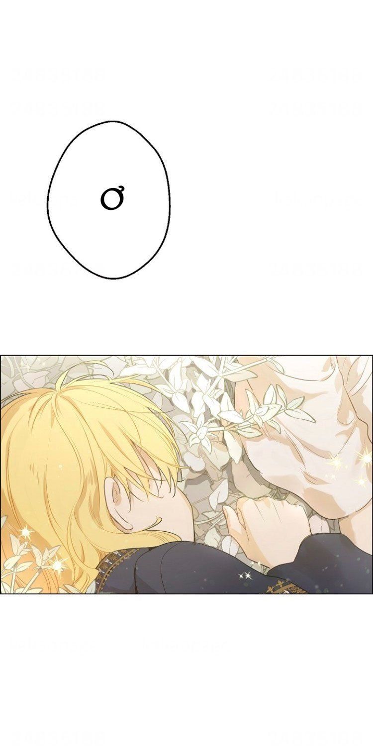 đọc truyện Một Ngày Nọ Tôi Bỗng Thành Nàng Công Chúa Chương 101 ảnh 21 tại Thiên Thai Truyện