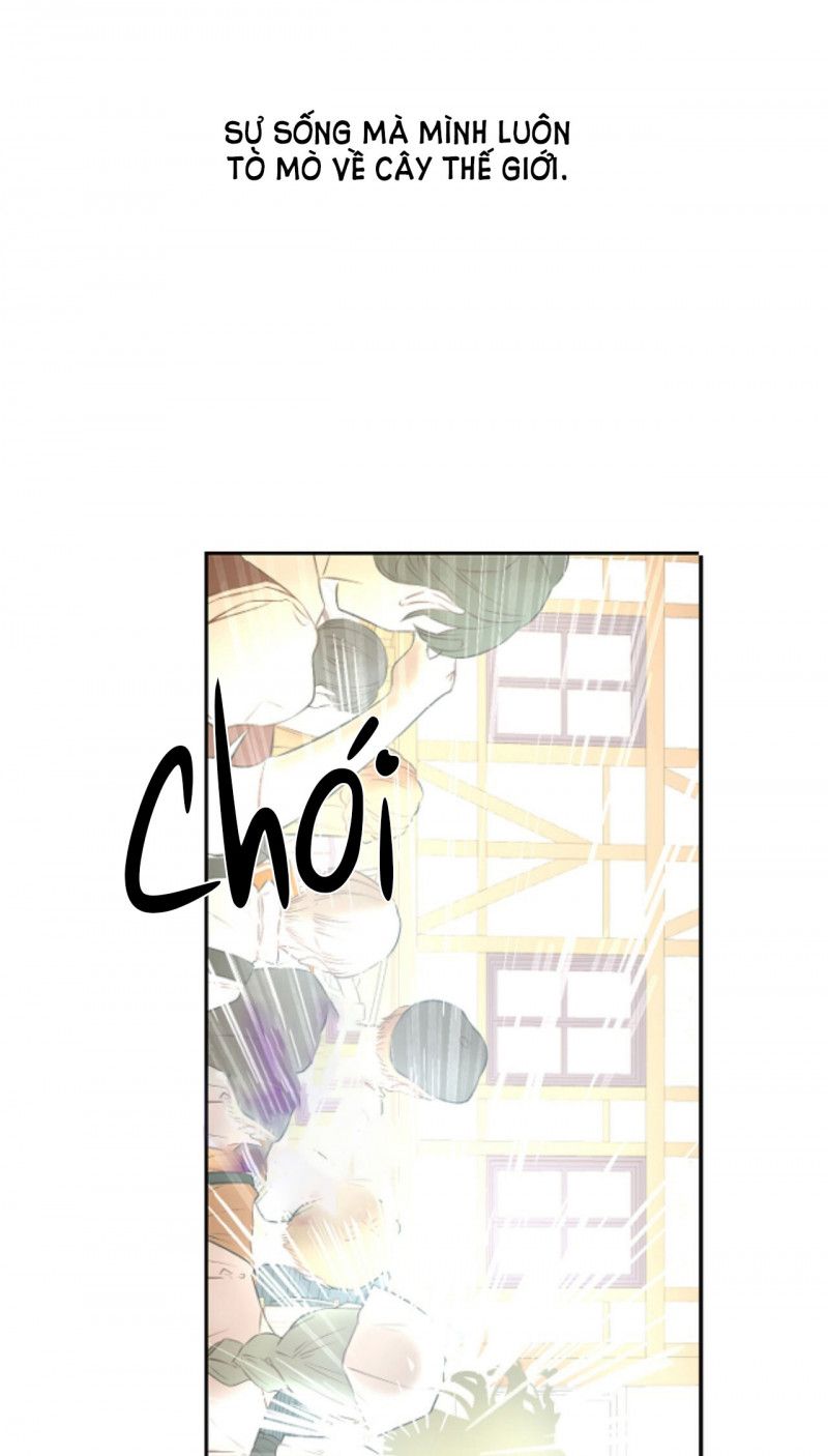 đọc truyện Một Ngày Nọ Tôi Bỗng Thành Nàng Công Chúa Chương 125 ảnh 49 tại Thiên Thai Truyện