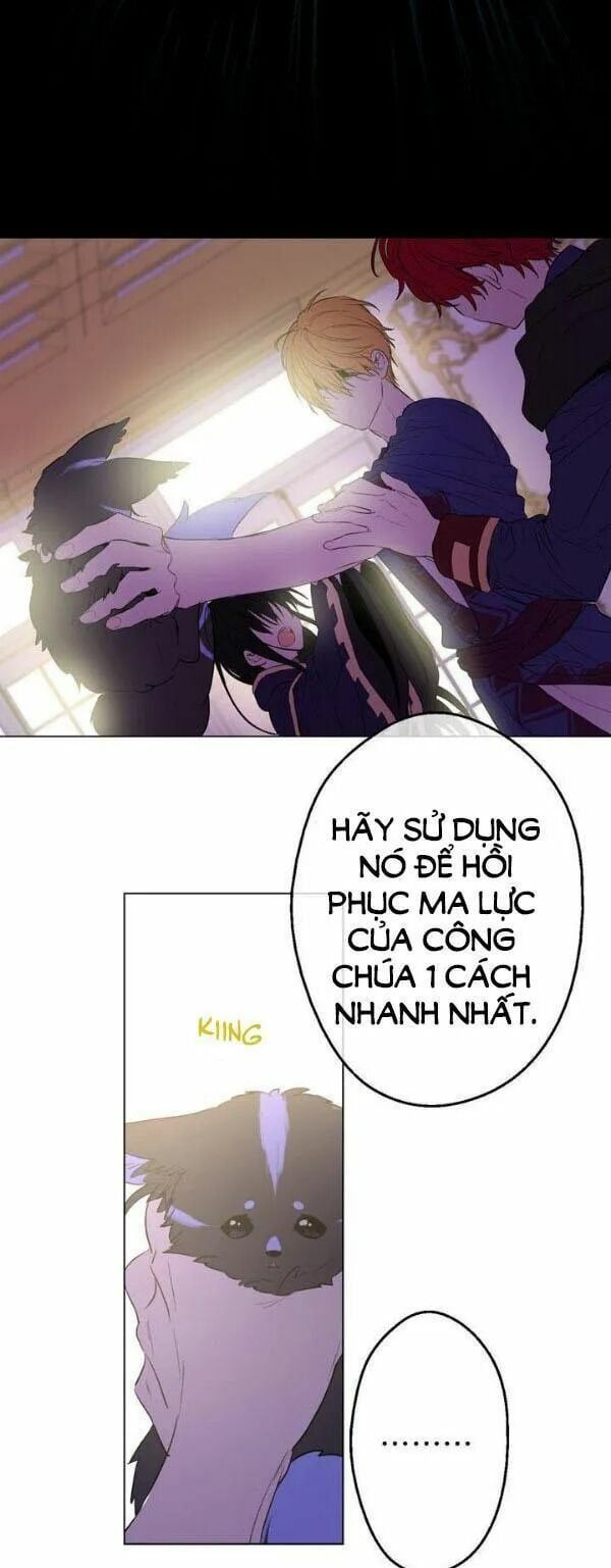 đọc truyện Một Ngày Nọ Tôi Bỗng Thành Nàng Công Chúa Chương 31 ảnh 31 tại Thiên Thai Truyện