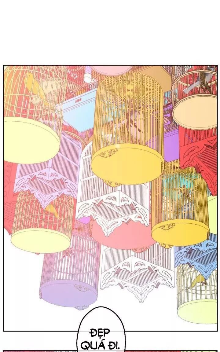 đọc truyện Một Ngày Nọ Tôi Bỗng Thành Nàng Công Chúa Chương 63 ảnh 47 tại Thiên Thai Truyện