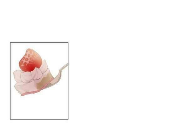 đọc truyện Một Ngày Nọ Tôi Bỗng Thành Nàng Công Chúa Chương 68 ảnh 3 tại Thiên Thai Truyện