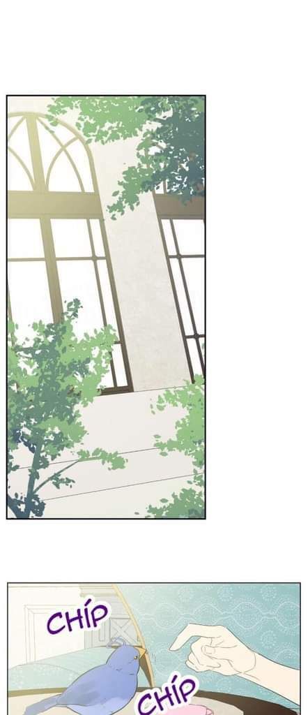 đọc truyện Một Ngày Nọ Tôi Bỗng Thành Nàng Công Chúa Chương 78 ảnh 25 tại Thiên Thai Truyện