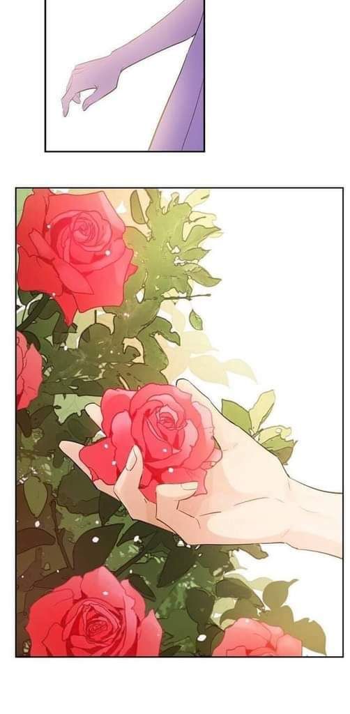 đọc truyện Một Ngày Nọ Tôi Bỗng Thành Nàng Công Chúa Chương 81 ảnh 15 tại Thiên Thai Truyện