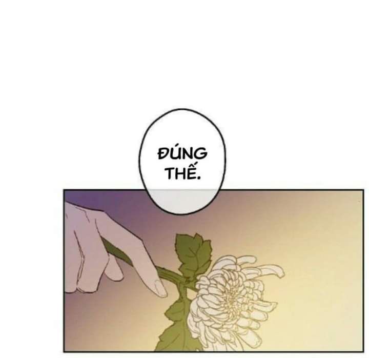 đọc truyện Một Ngày Nọ Tôi Bỗng Thành Nàng Công Chúa Chương 82 ảnh 39 tại Thiên Thai Truyện