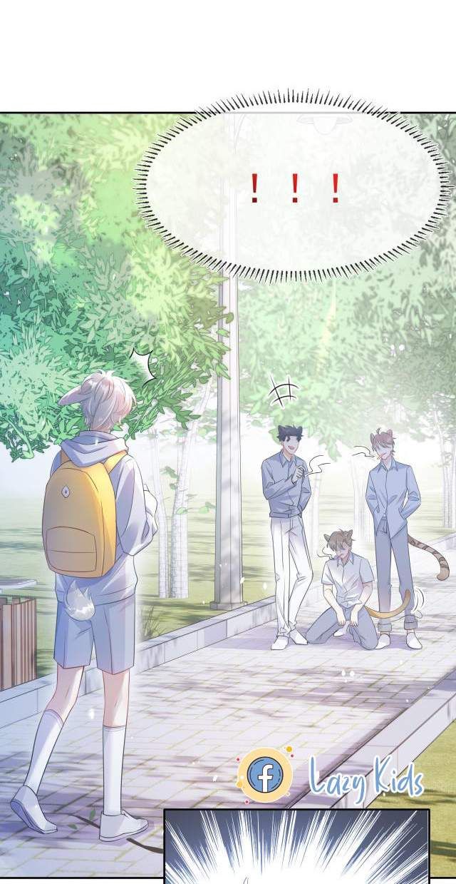 đọc truyện Một Ngụm Nuốt Trọn Thỏ Con Chương 1 ảnh 13 tại Thiên Thai Truyện