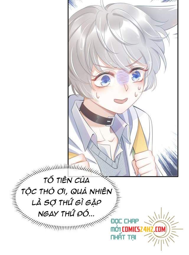 đọc truyện Một Ngụm Nuốt Trọn Thỏ Con Chương 1 ảnh 14 tại Thiên Thai Truyện