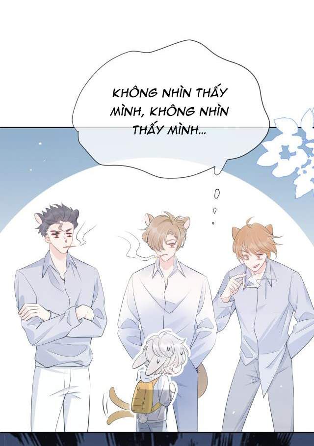 đọc truyện Một Ngụm Nuốt Trọn Thỏ Con Chương 1 ảnh 15 tại Thiên Thai Truyện