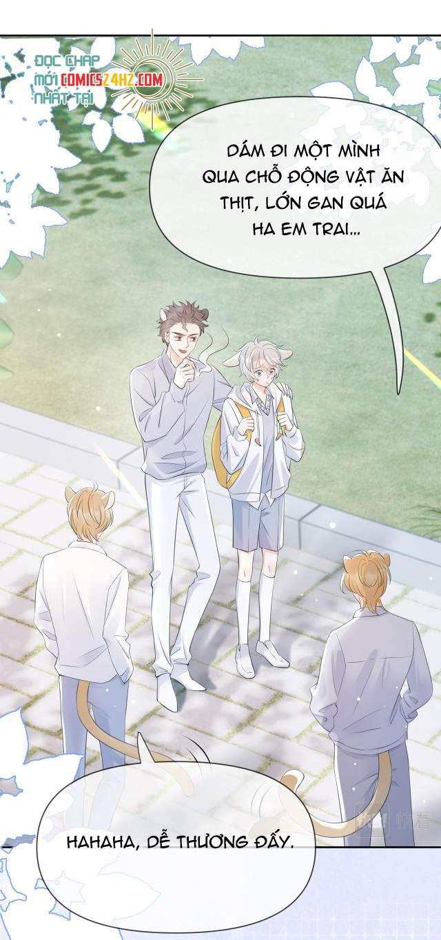 đọc truyện Một Ngụm Nuốt Trọn Thỏ Con Chương 1 ảnh 19 tại Thiên Thai Truyện