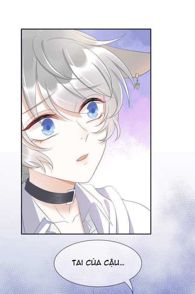 đọc truyện Một Ngụm Nuốt Trọn Thỏ Con Chương 1 ảnh 42 tại Thiên Thai Truyện