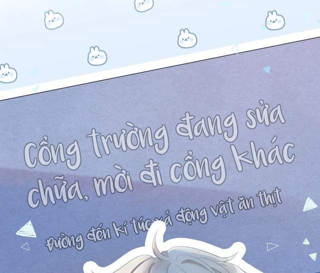 đọc truyện Một Ngụm Nuốt Trọn Thỏ Con Chương 1 ảnh 7 tại Thiên Thai Truyện