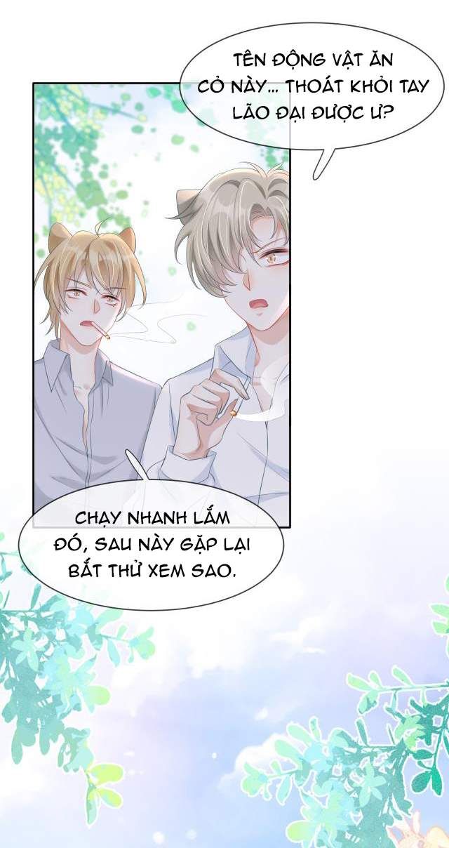 đọc truyện Một Ngụm Nuốt Trọn Thỏ Con Chương 1 ảnh 52 tại Thiên Thai Truyện