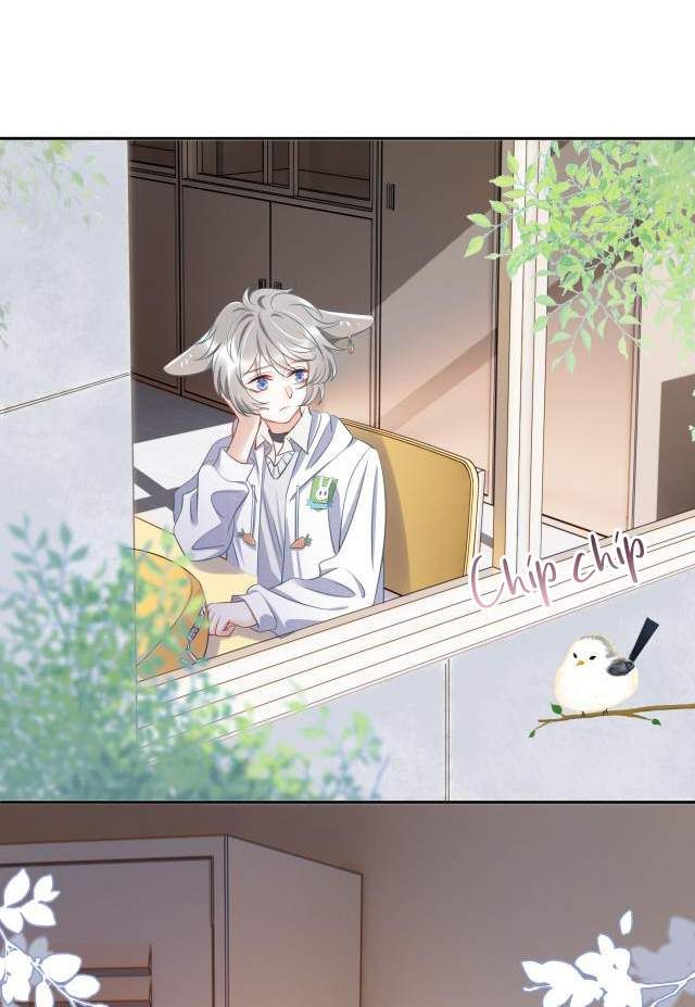 đọc truyện Một Ngụm Nuốt Trọn Thỏ Con Chương 1 ảnh 61 tại Thiên Thai Truyện