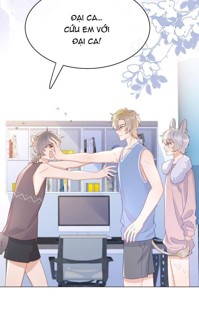 đọc truyện Một Ngụm Nuốt Trọn Thỏ Con Chương 11 ảnh 15 tại Thiên Thai Truyện