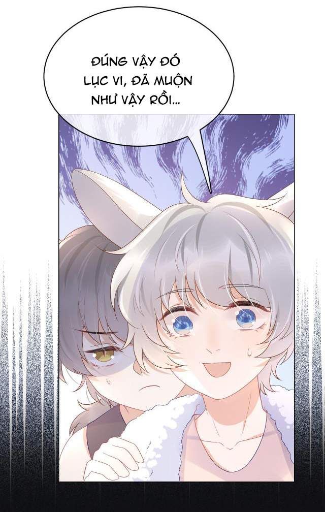 đọc truyện Một Ngụm Nuốt Trọn Thỏ Con Chương 11 ảnh 19 tại Thiên Thai Truyện