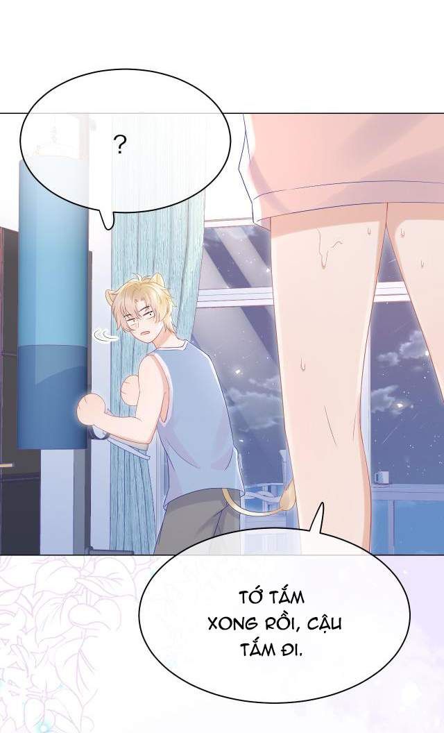 đọc truyện Một Ngụm Nuốt Trọn Thỏ Con Chương 11 ảnh 8 tại Thiên Thai Truyện