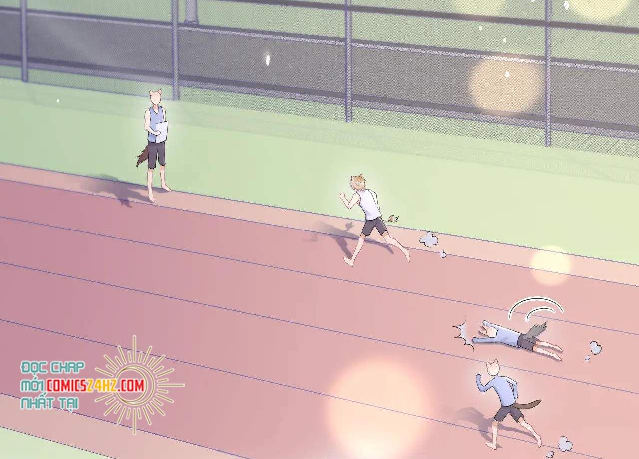 đọc truyện Một Ngụm Nuốt Trọn Thỏ Con Chương 12 ảnh 6 tại Thiên Thai Truyện