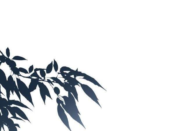 đọc truyện Một Ngụm Nuốt Trọn Thỏ Con Chương 14 ảnh 39 tại Thiên Thai Truyện