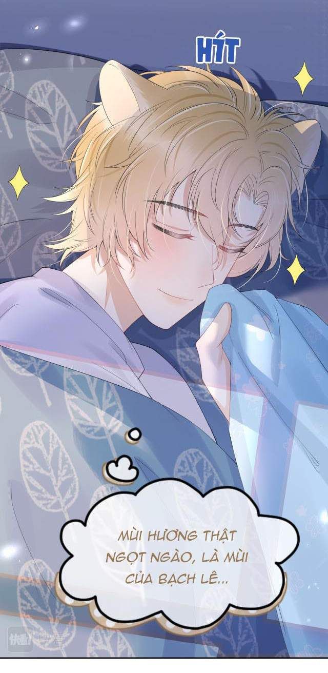 đọc truyện Một Ngụm Nuốt Trọn Thỏ Con Chương 14 ảnh 46 tại Thiên Thai Truyện