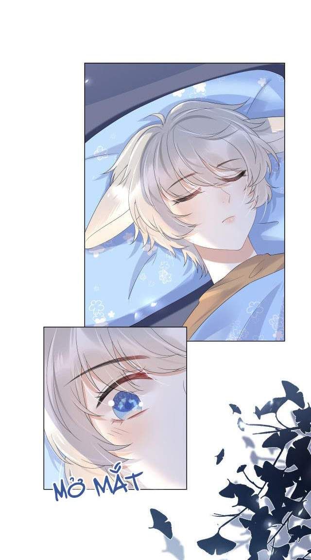 đọc truyện Một Ngụm Nuốt Trọn Thỏ Con Chương 14 ảnh 47 tại Thiên Thai Truyện