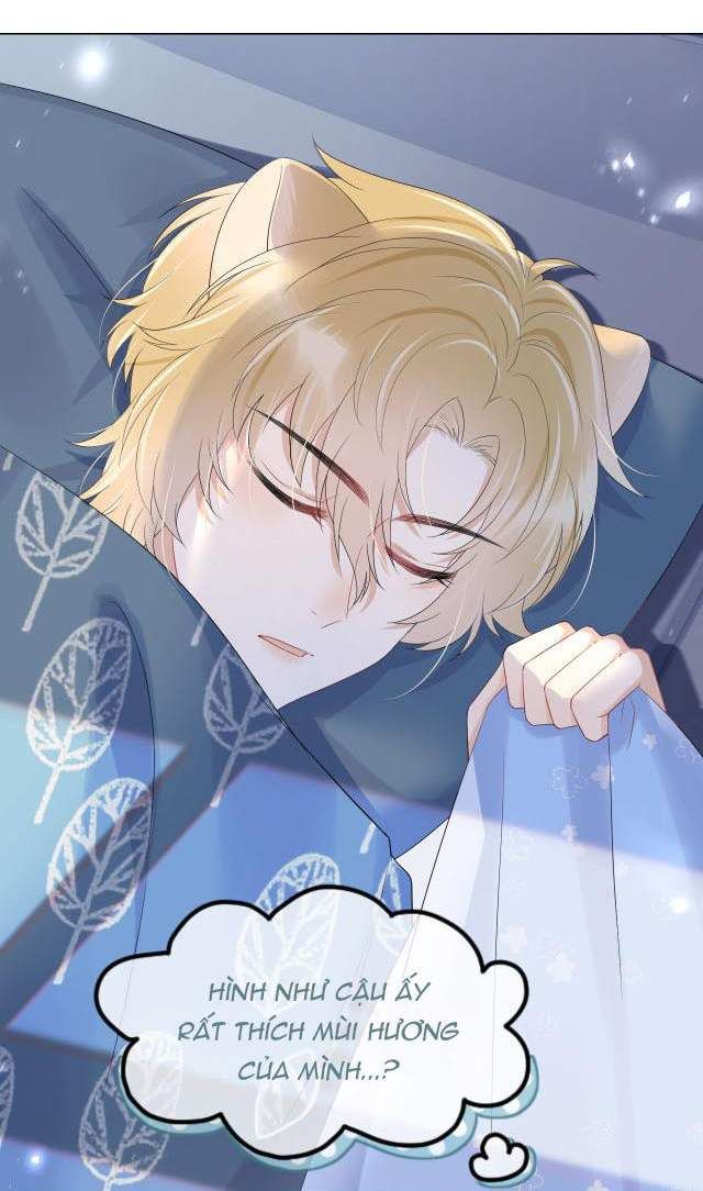 đọc truyện Một Ngụm Nuốt Trọn Thỏ Con Chương 14 ảnh 50 tại Thiên Thai Truyện