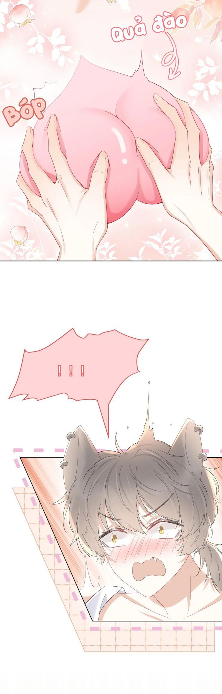 đọc truyện Một Ngụm Nuốt Trọn Thỏ Con Chương 18 ảnh 25 tại Thiên Thai Truyện