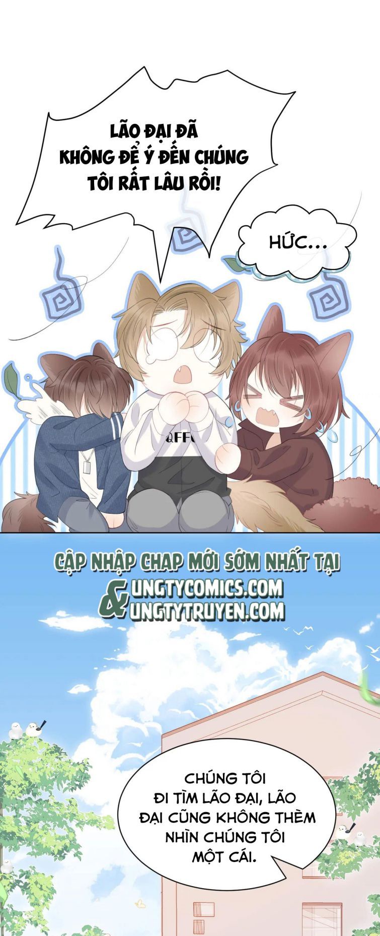 đọc truyện Một Ngụm Nuốt Trọn Thỏ Con Chương 19 ảnh 21 tại Thiên Thai Truyện