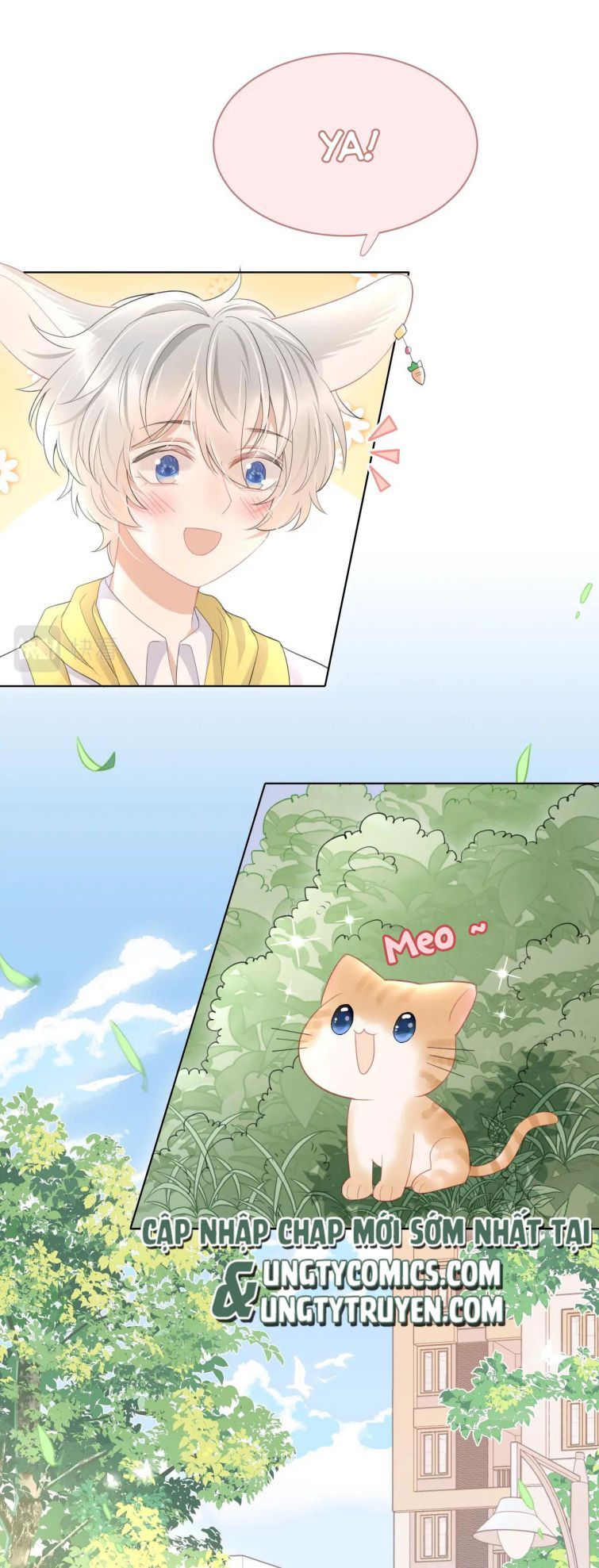 đọc truyện Một Ngụm Nuốt Trọn Thỏ Con Chương 19 ảnh 11 tại Thiên Thai Truyện