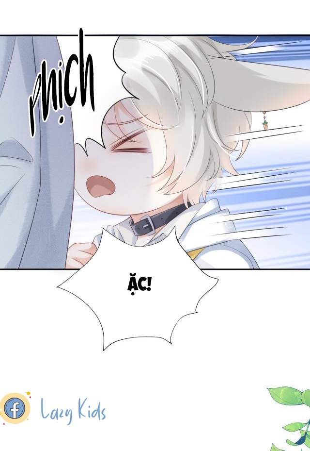 đọc truyện Một Ngụm Nuốt Trọn Thỏ Con Chương 2 ảnh 20 tại Thiên Thai Truyện