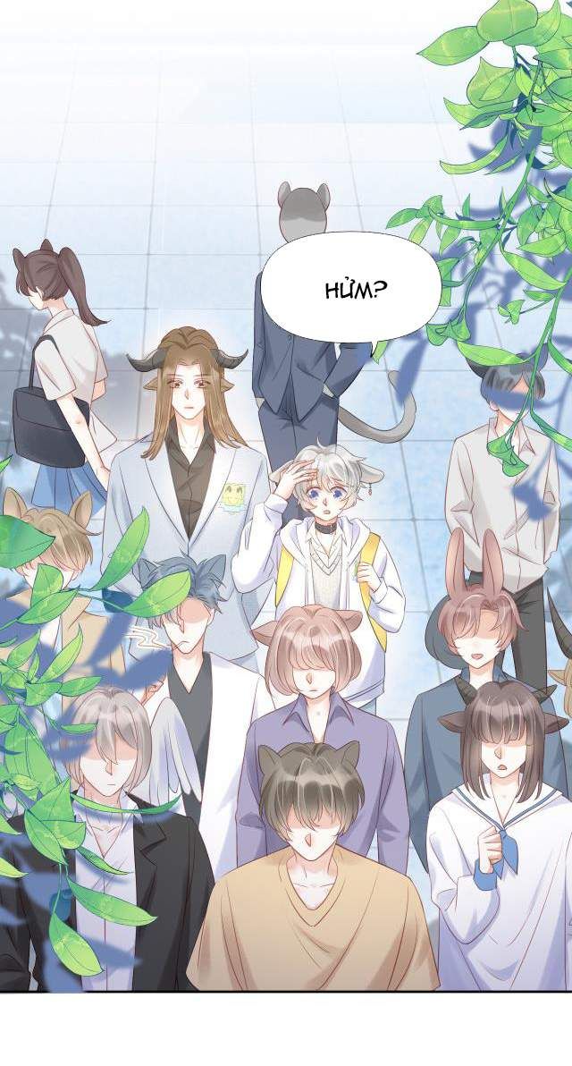 đọc truyện Một Ngụm Nuốt Trọn Thỏ Con Chương 2 ảnh 21 tại Thiên Thai Truyện