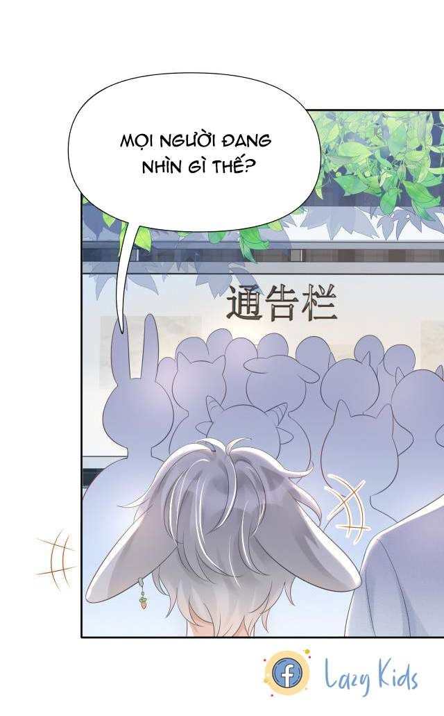 đọc truyện Một Ngụm Nuốt Trọn Thỏ Con Chương 2 ảnh 22 tại Thiên Thai Truyện