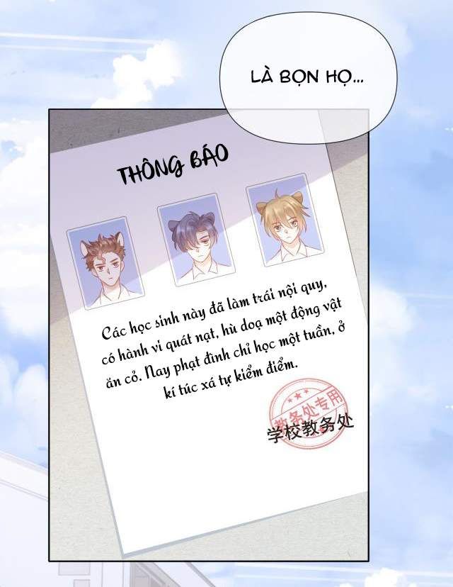 đọc truyện Một Ngụm Nuốt Trọn Thỏ Con Chương 2 ảnh 27 tại Thiên Thai Truyện