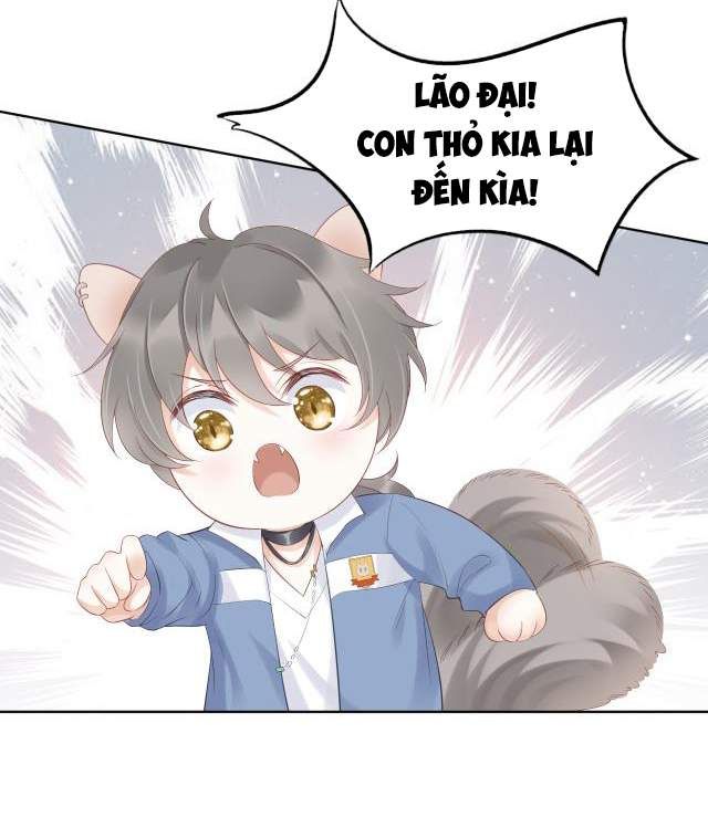 đọc truyện Một Ngụm Nuốt Trọn Thỏ Con Chương 2 ảnh 47 tại Thiên Thai Truyện