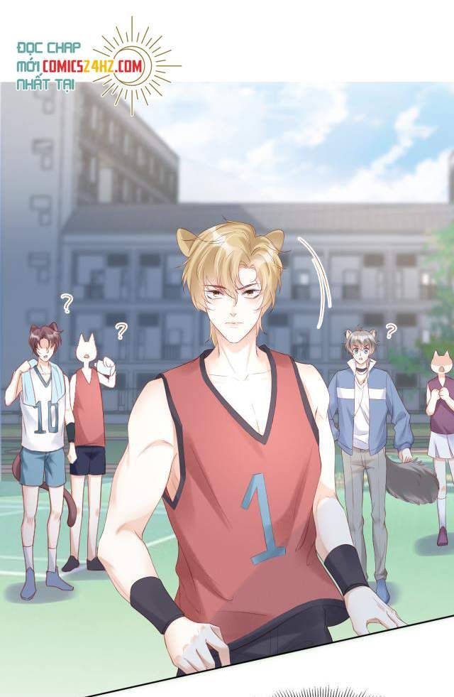 đọc truyện Một Ngụm Nuốt Trọn Thỏ Con Chương 2 ảnh 53 tại Thiên Thai Truyện