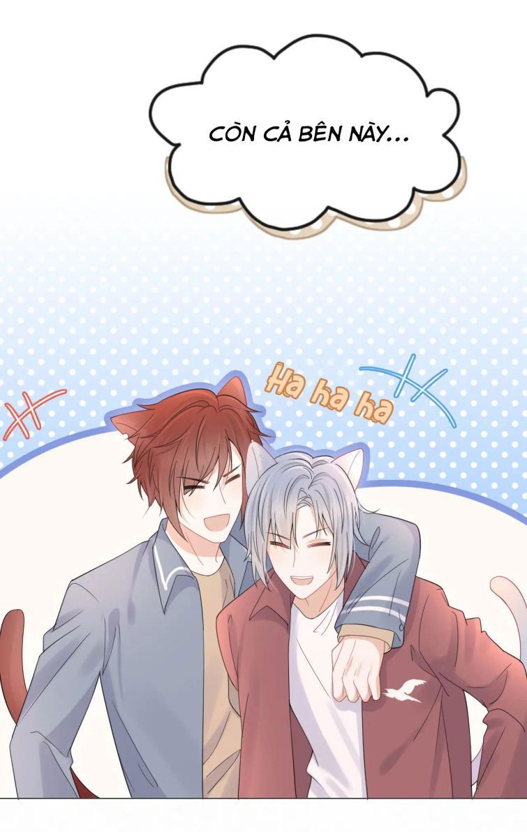 đọc truyện Một Ngụm Nuốt Trọn Thỏ Con Chương 21 ảnh 15 tại Thiên Thai Truyện