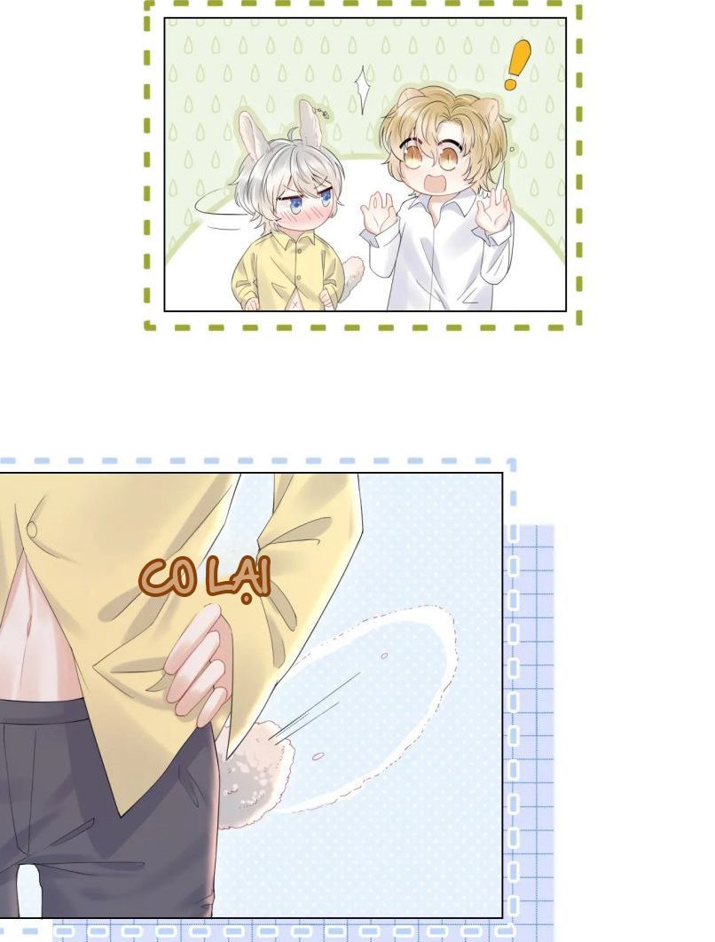 đọc truyện Một Ngụm Nuốt Trọn Thỏ Con Chương 25 ảnh 13 tại Thiên Thai Truyện