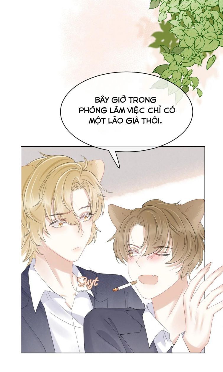 đọc truyện Một Ngụm Nuốt Trọn Thỏ Con Chương 28 ảnh 14 tại Thiên Thai Truyện