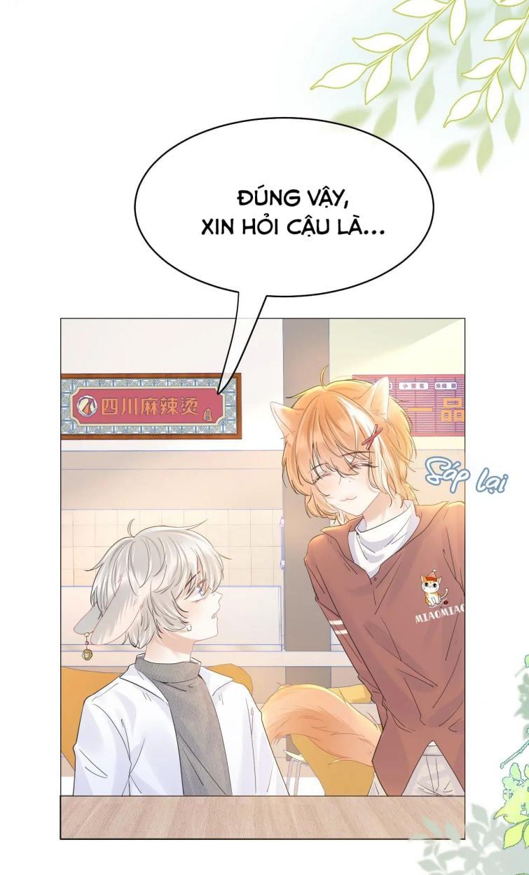 đọc truyện Một Ngụm Nuốt Trọn Thỏ Con Chương 29 ảnh 9 tại Thiên Thai Truyện