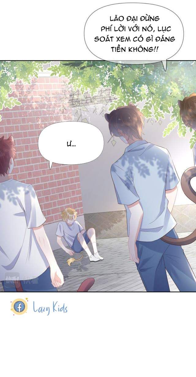 đọc truyện Một Ngụm Nuốt Trọn Thỏ Con Chương 3 ảnh 12 tại Thiên Thai Truyện