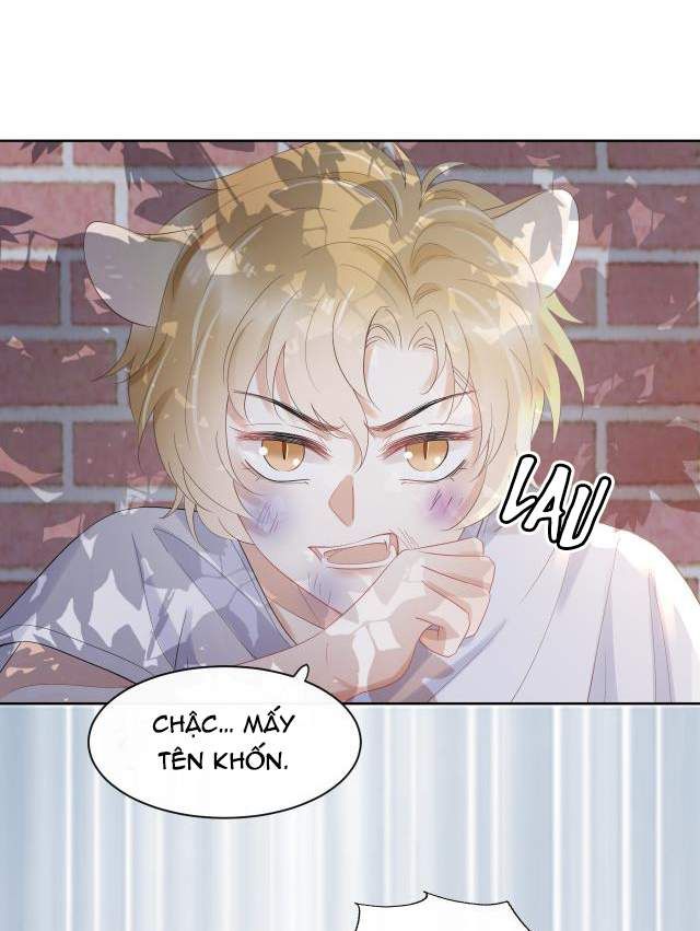 đọc truyện Một Ngụm Nuốt Trọn Thỏ Con Chương 3 ảnh 13 tại Thiên Thai Truyện