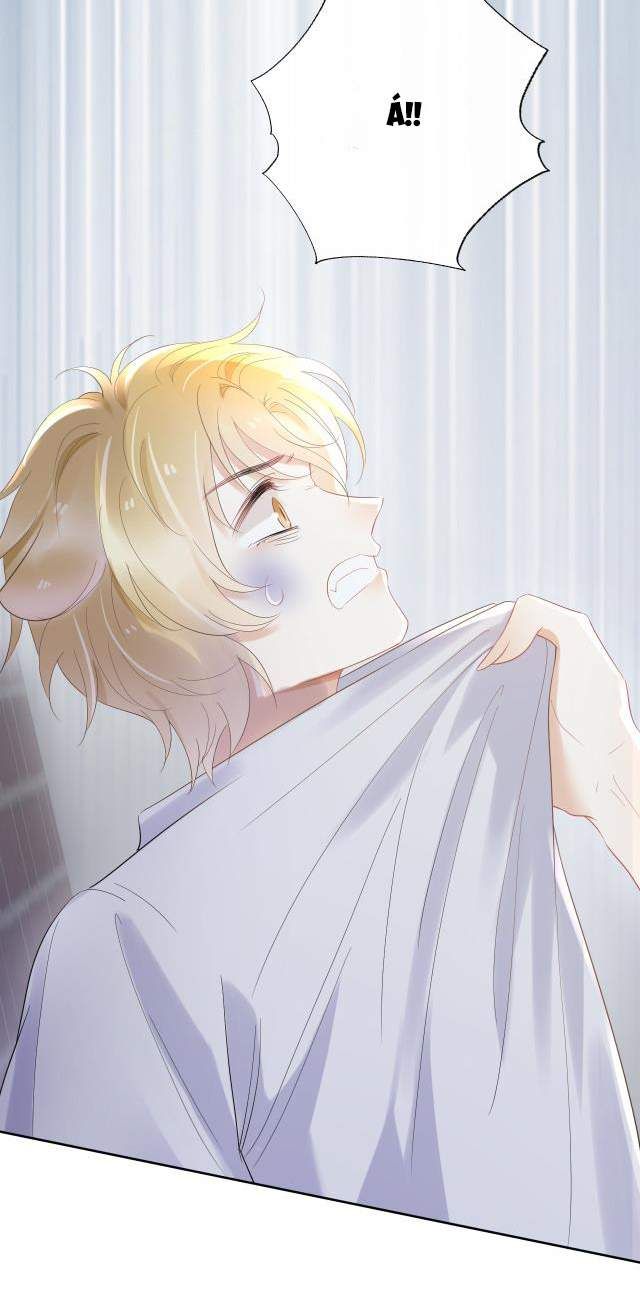 đọc truyện Một Ngụm Nuốt Trọn Thỏ Con Chương 3 ảnh 14 tại Thiên Thai Truyện