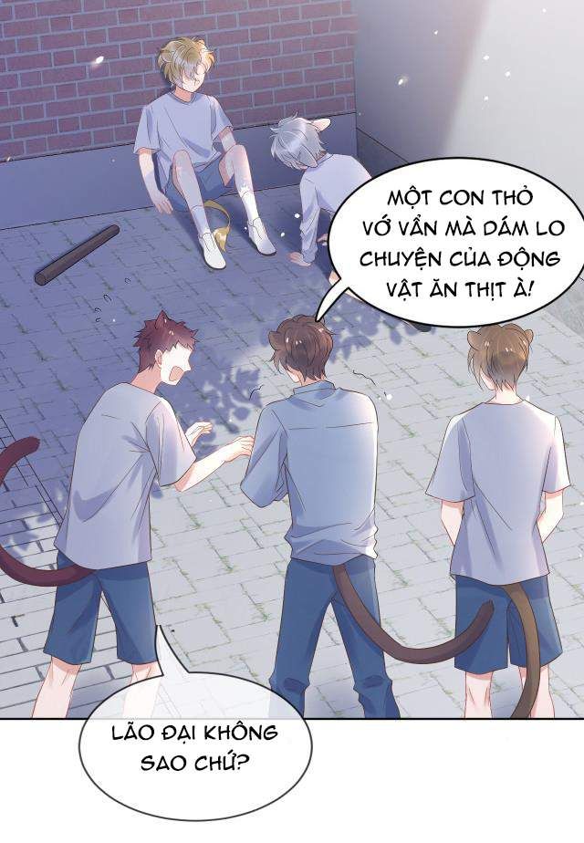 đọc truyện Một Ngụm Nuốt Trọn Thỏ Con Chương 3 ảnh 29 tại Thiên Thai Truyện