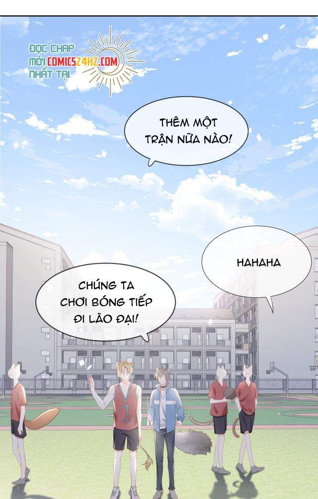 đọc truyện Một Ngụm Nuốt Trọn Thỏ Con Chương 3 ảnh 5 tại Thiên Thai Truyện