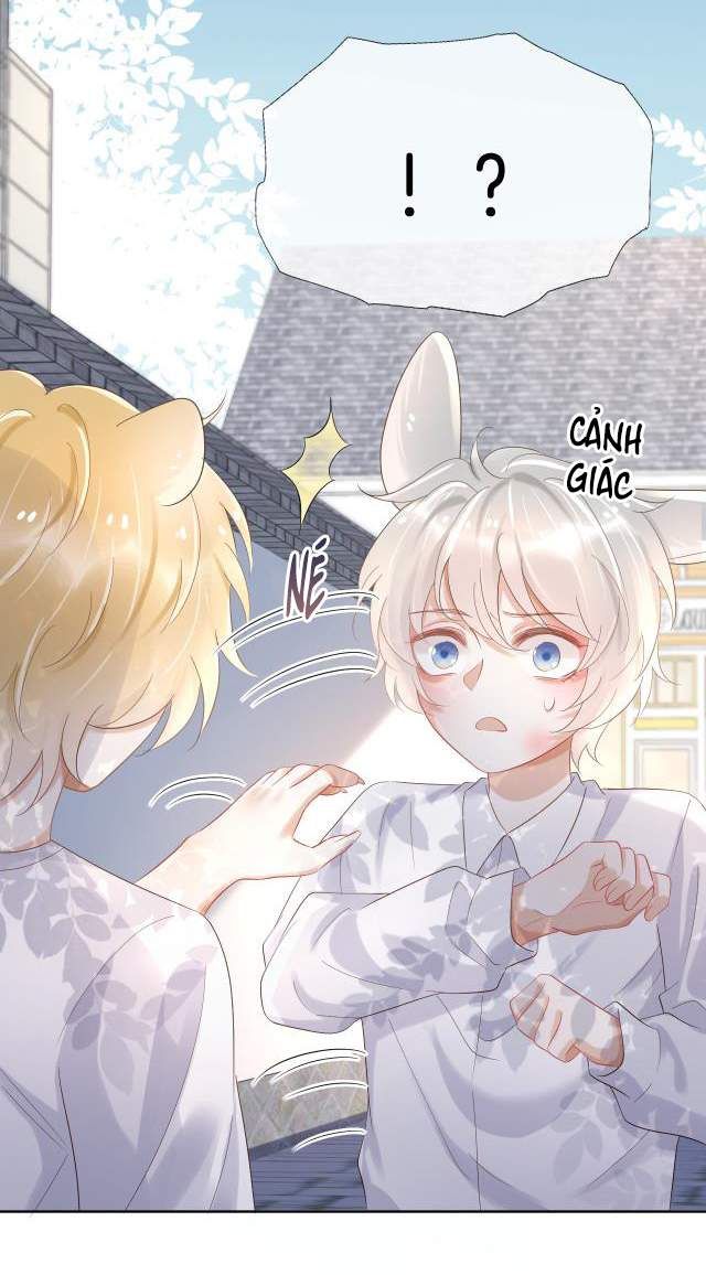 đọc truyện Một Ngụm Nuốt Trọn Thỏ Con Chương 3 ảnh 48 tại Thiên Thai Truyện