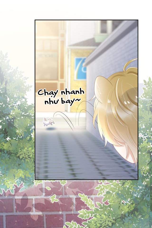 đọc truyện Một Ngụm Nuốt Trọn Thỏ Con Chương 3 ảnh 51 tại Thiên Thai Truyện