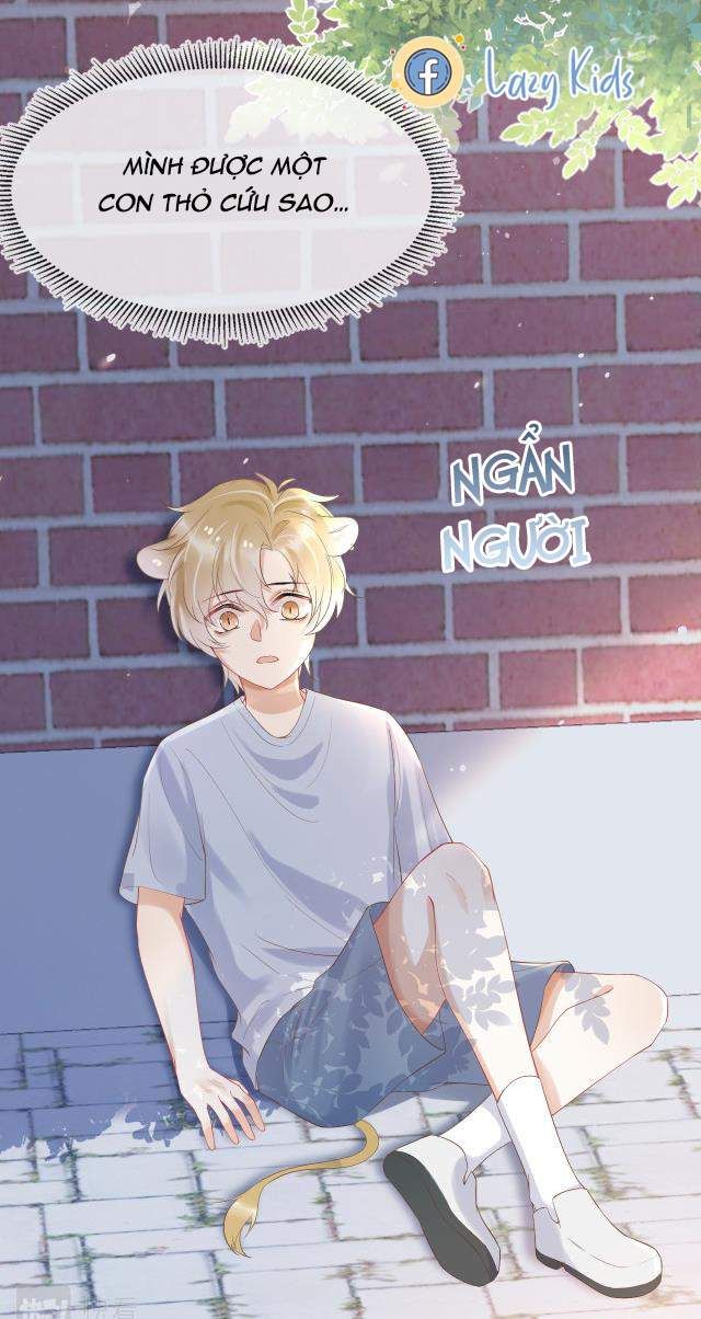 đọc truyện Một Ngụm Nuốt Trọn Thỏ Con Chương 3 ảnh 52 tại Thiên Thai Truyện