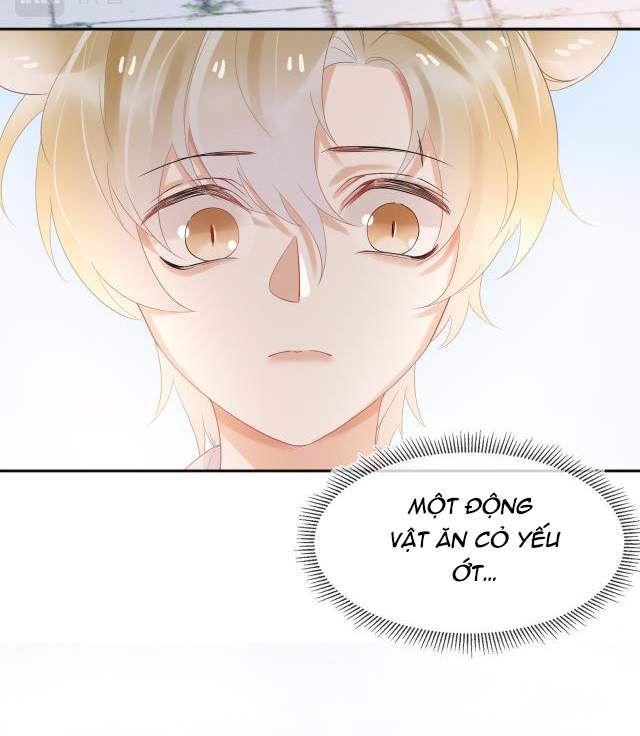 đọc truyện Một Ngụm Nuốt Trọn Thỏ Con Chương 3 ảnh 53 tại Thiên Thai Truyện