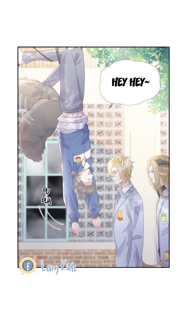 đọc truyện Một Ngụm Nuốt Trọn Thỏ Con Chương 3 ảnh 70 tại Thiên Thai Truyện