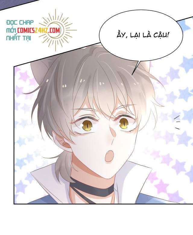 đọc truyện Một Ngụm Nuốt Trọn Thỏ Con Chương 3 ảnh 73 tại Thiên Thai Truyện