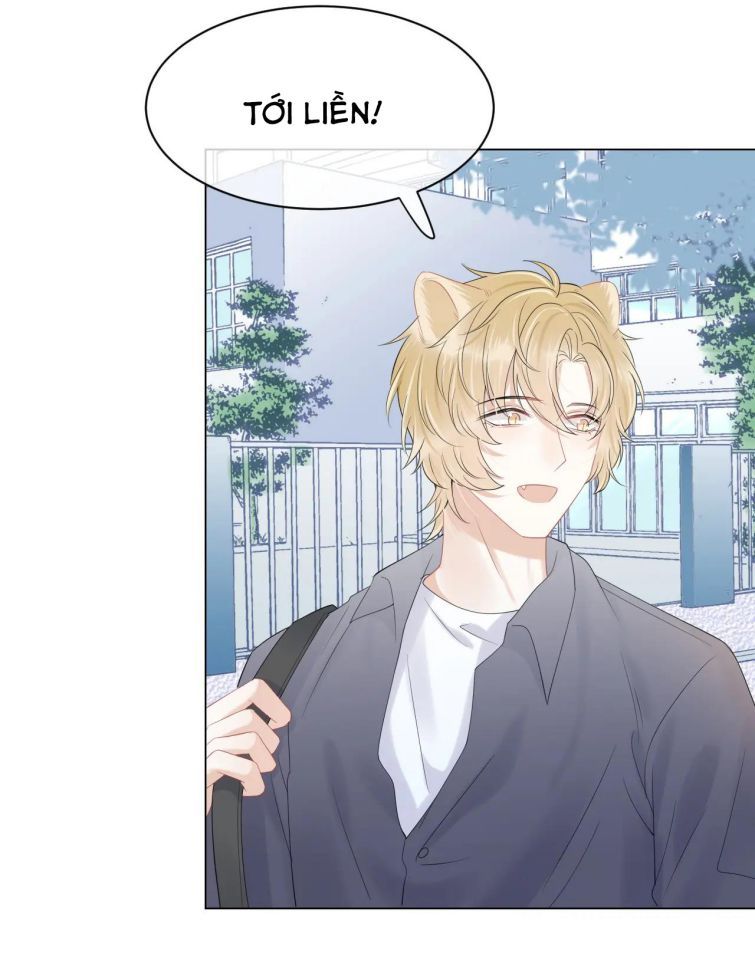 đọc truyện Một Ngụm Nuốt Trọn Thỏ Con Chương 30 ảnh 49 tại Thiên Thai Truyện